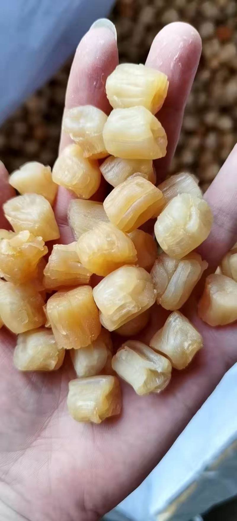 北海特产，瑶柱个头大，味道正，煮什么都很甜