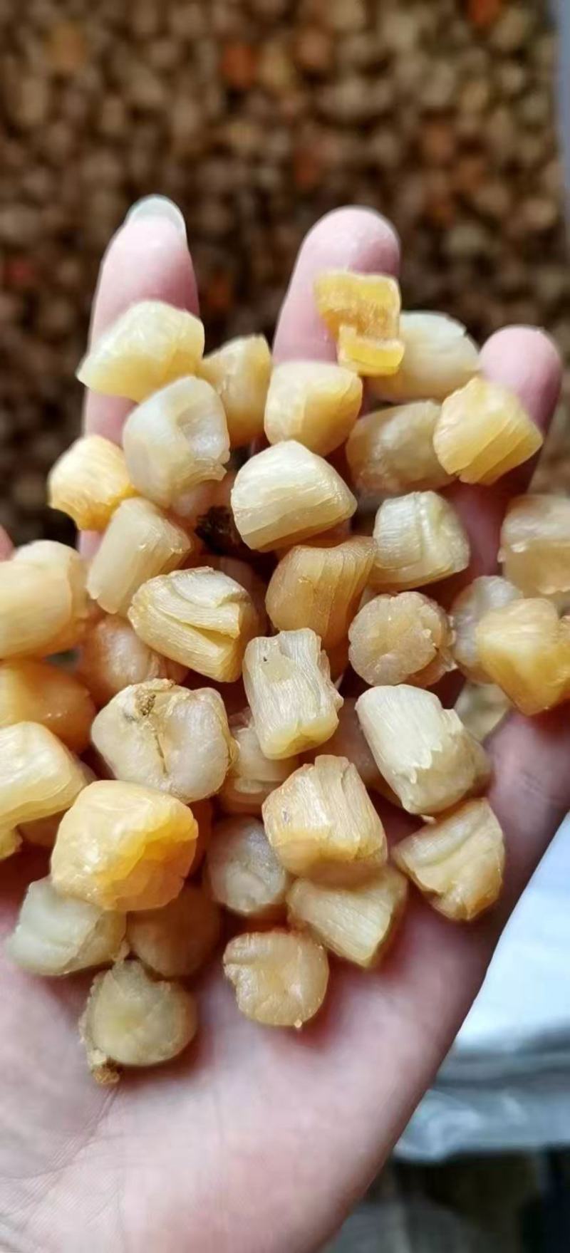 北海特产，瑶柱个头大，味道正，煮什么都很甜