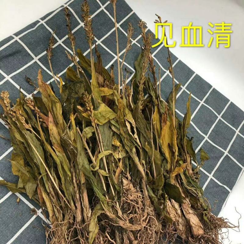 见血清需要联系我，水洗净，干货