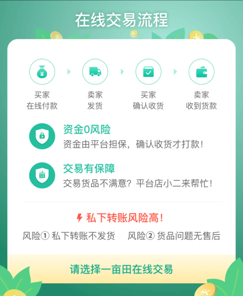 香蕉苗红香蕉苗品种包纯正包邮可盆栽地栽