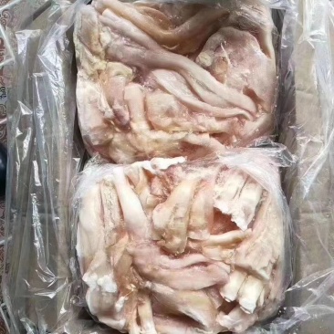 牛蹄筋（主筋）质量稳定价格美丽现货出售物超所值