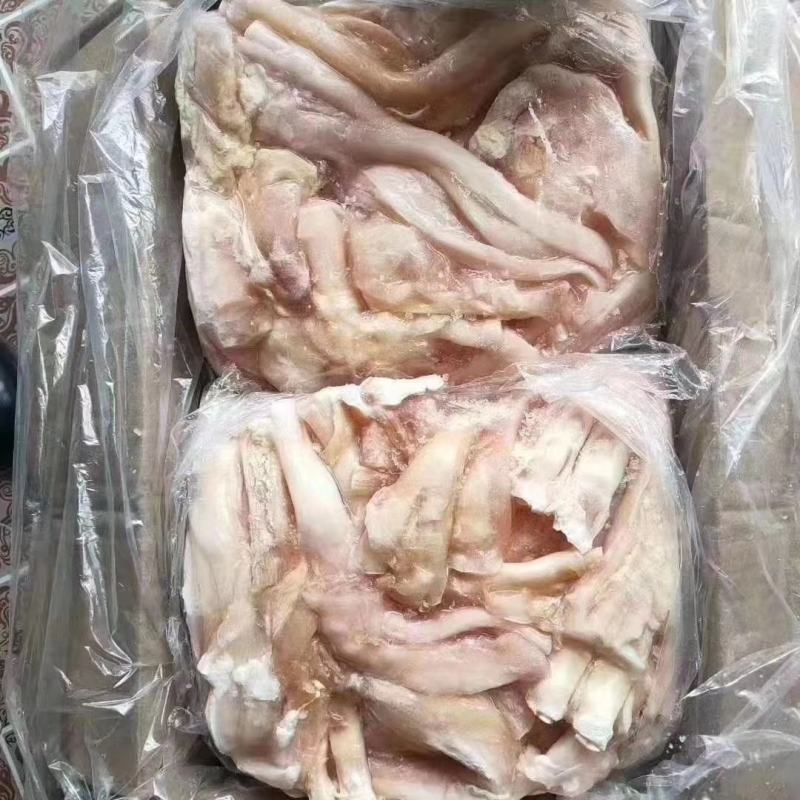 牛蹄筋（主筋）质量稳定价格美丽现货出售物超所值