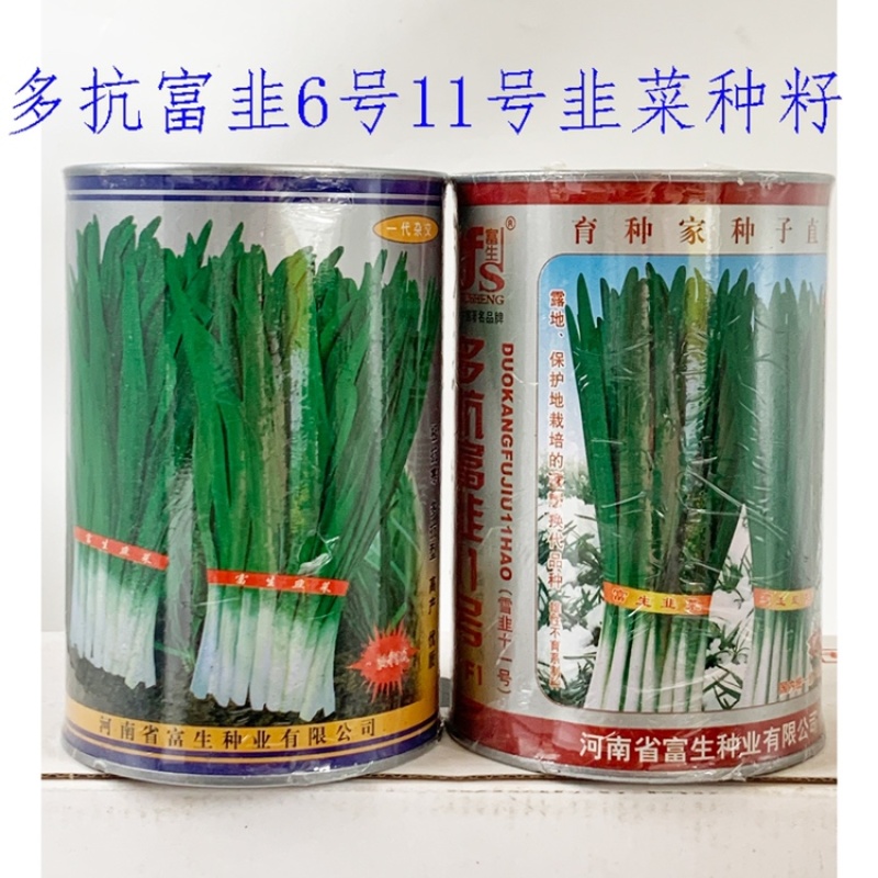 太空棚绿韭菜种子不休眠宽叶韭菜种原装发货