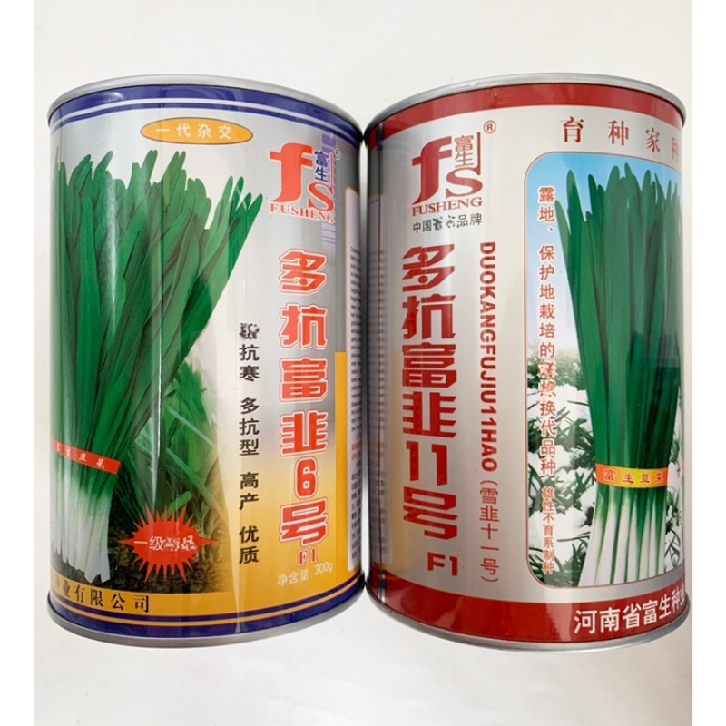 太空棚绿韭菜种子不休眠宽叶韭菜种原装发货