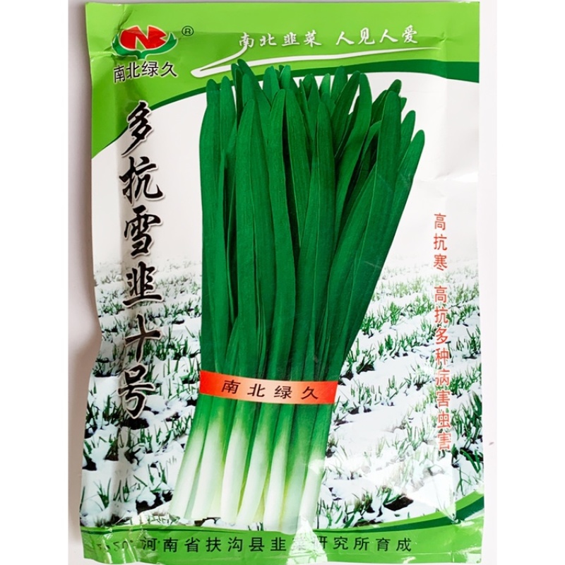 太空棚绿韭菜种子不休眠宽叶韭菜种原装发货