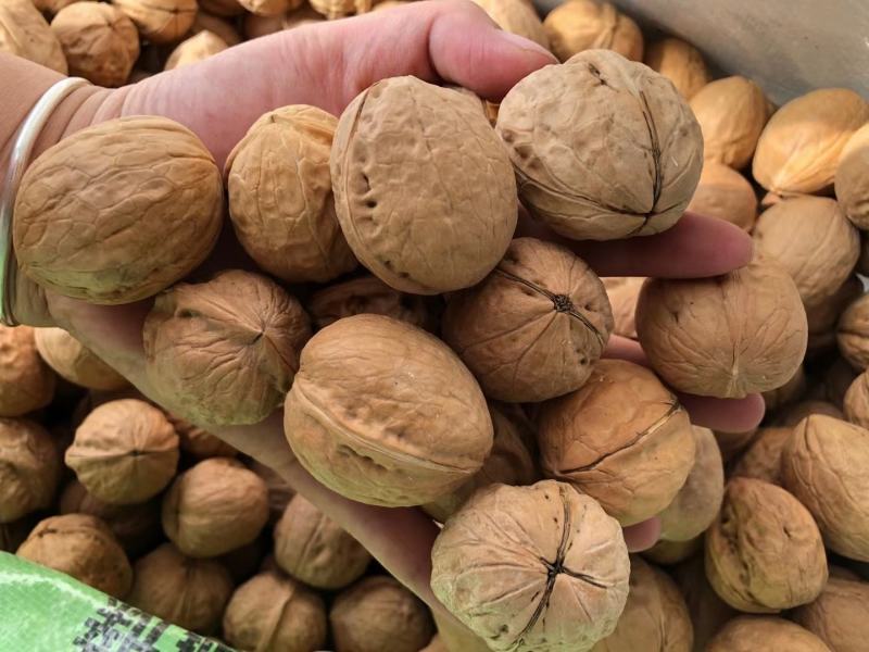 2020年新货新疆薄皮核桃中果大果颗粒饱满味道好现货秒发