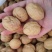 2020年新货新疆薄皮核桃中果大果颗粒饱满味道好现货秒发