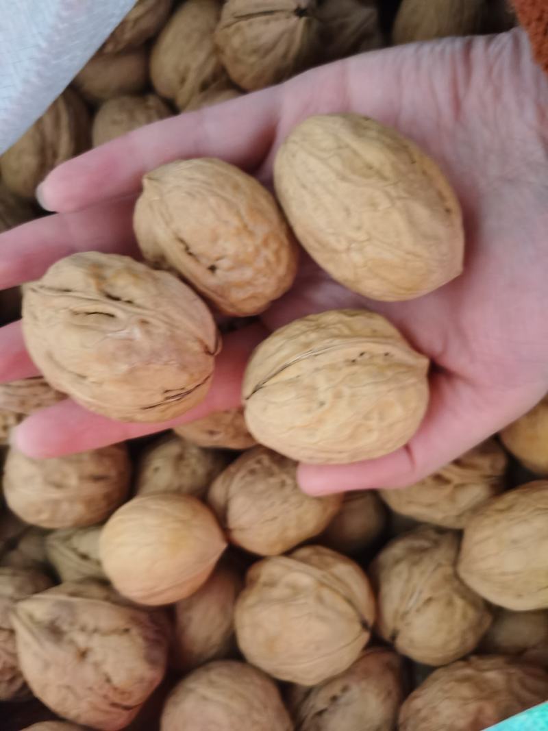 2020年新货新疆薄皮核桃中果大果颗粒饱满味道好现货秒发