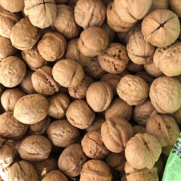 2020年新货新疆薄皮核桃中果大果颗粒饱满味道好现货秒发