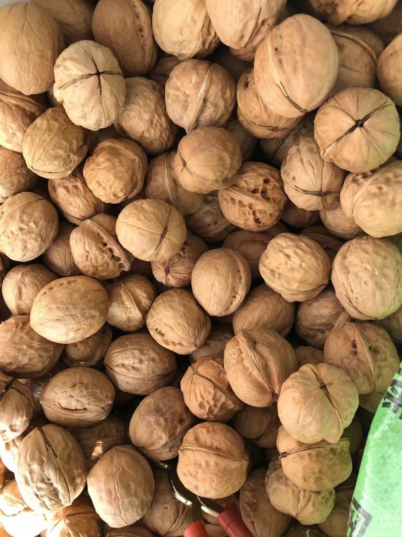 2020年新货新疆薄皮核桃中果大果颗粒饱满味道好现货秒发