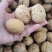2020年新货新疆薄皮核桃中果大果颗粒饱满味道好现货秒发