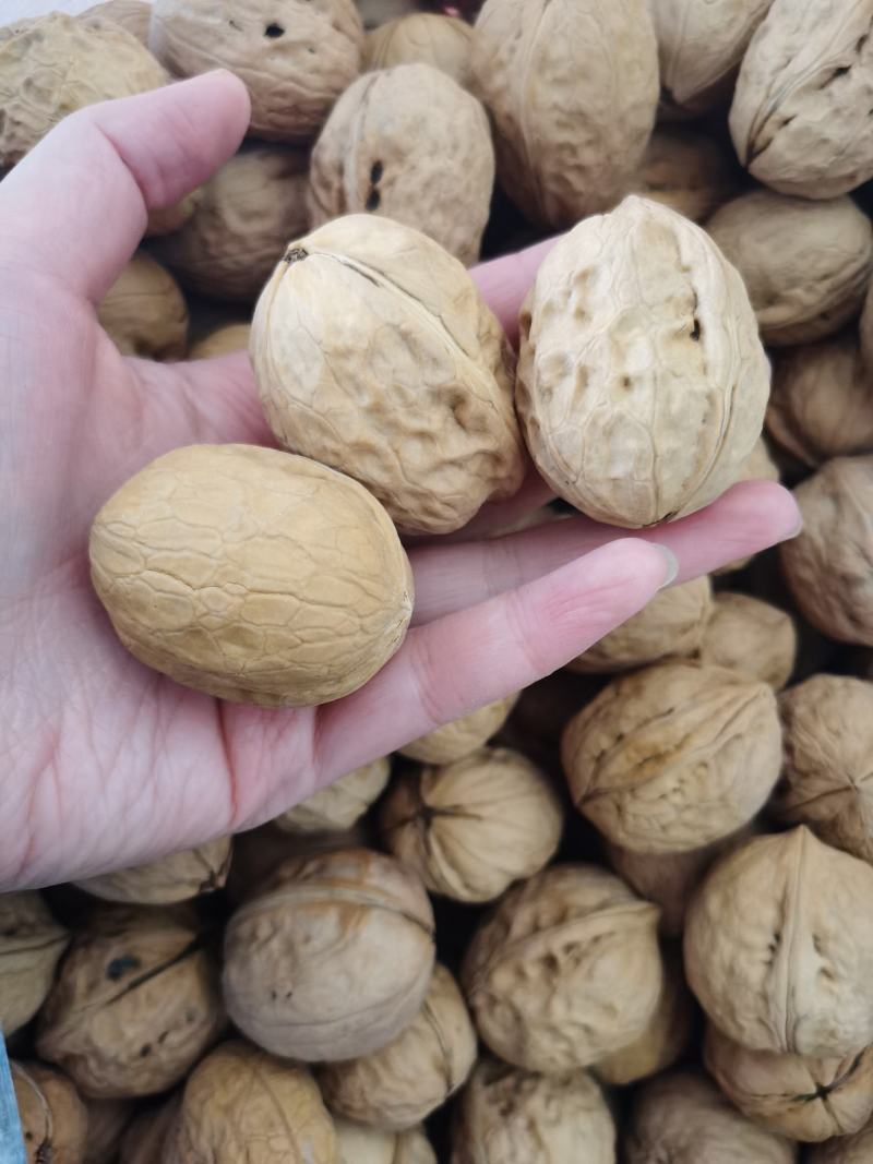 2020年新货新疆薄皮核桃中果大果颗粒饱满味道好现货秒发