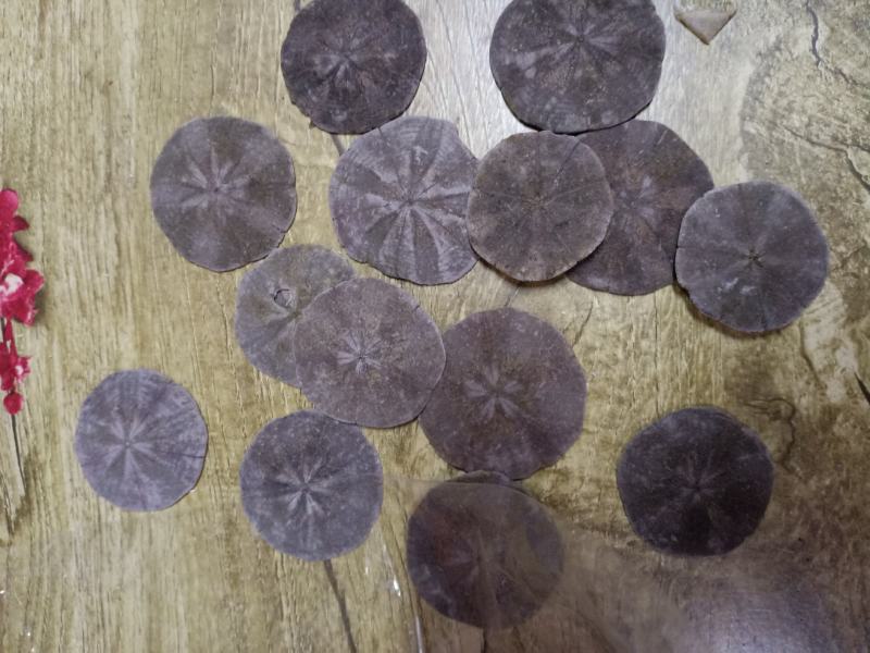 北海特色袋装海宝10味药材泡酒料批发量大从优