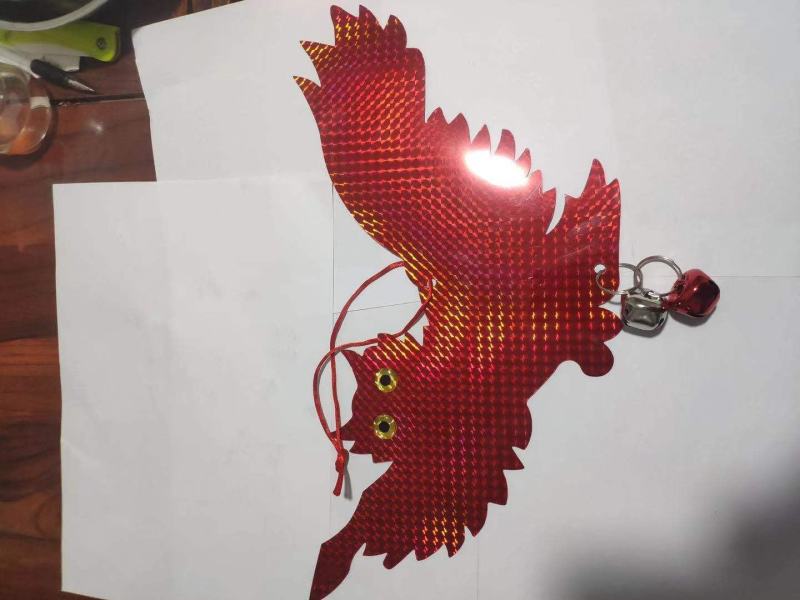 双面反光驱鸟器猫头鹰驱鸟器阳台果树驱鸟彩带吓鸟带仿真彩带