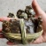 白洋淀精品大闸蟹（塘口直发）