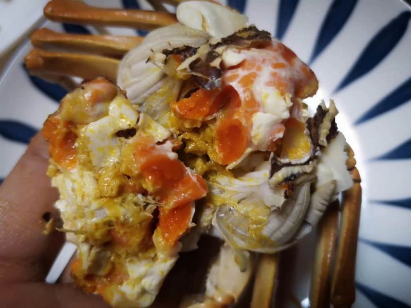 白洋淀精品河蟹（塘口直发）