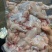 牛蛙活鲜现杀牛蛙生鲜肉即食麻辣火锅烧烤锁鲜真空包装