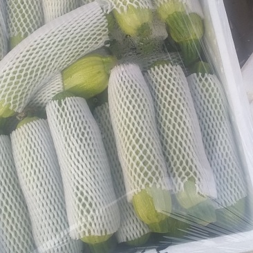 绿皮西葫芦0.4斤以上绿皮，白皮都有个头嫩绿，前后中庭