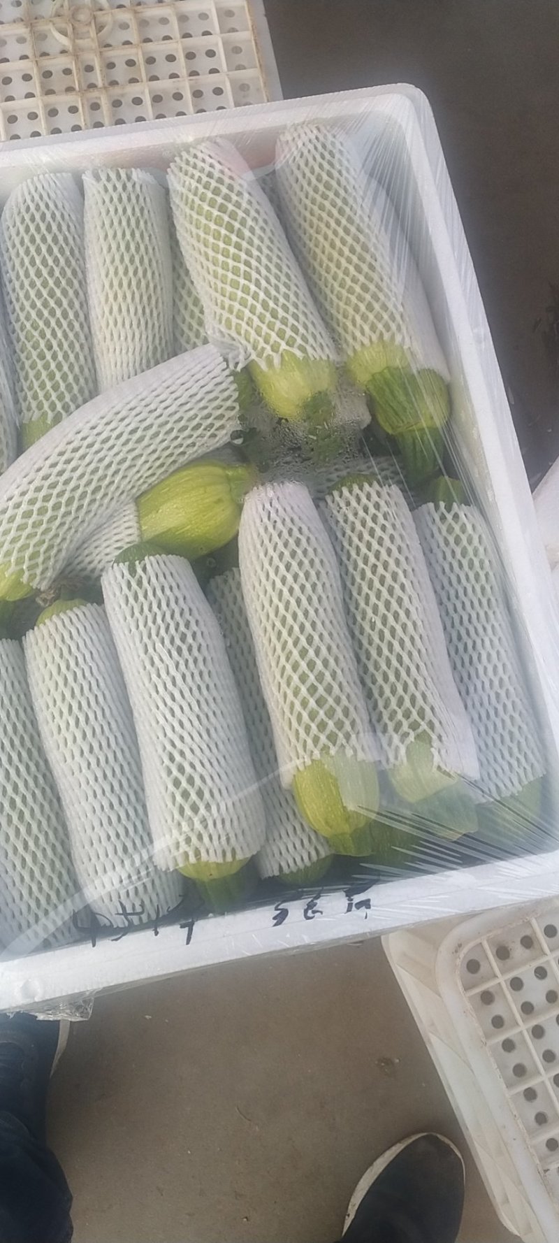 绿皮西葫芦0.4斤以上绿皮，白皮都有个头嫩绿，前后中庭