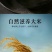 20年新米原产地东北长粒香大米货真价实好吃不贵