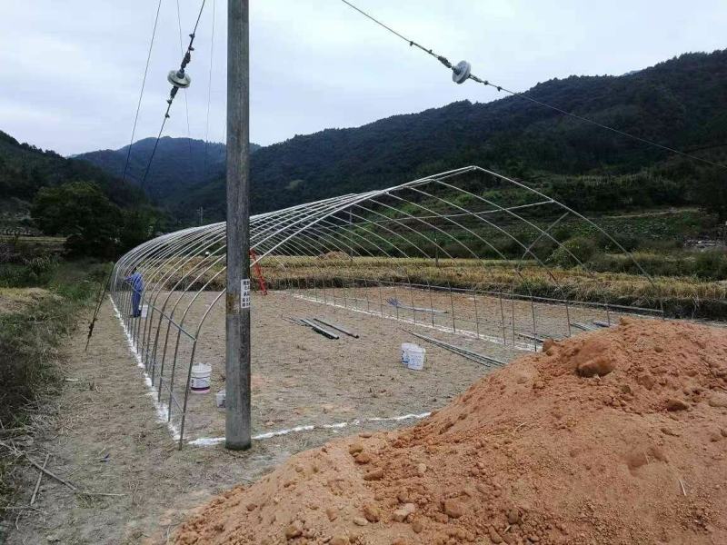 厂家直销大棚骨架钢管定做各种规格西瓜棚草莓大棚蔬菜大棚