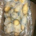 山东库存土豆大量供应，全国发货，货源充足产地大量