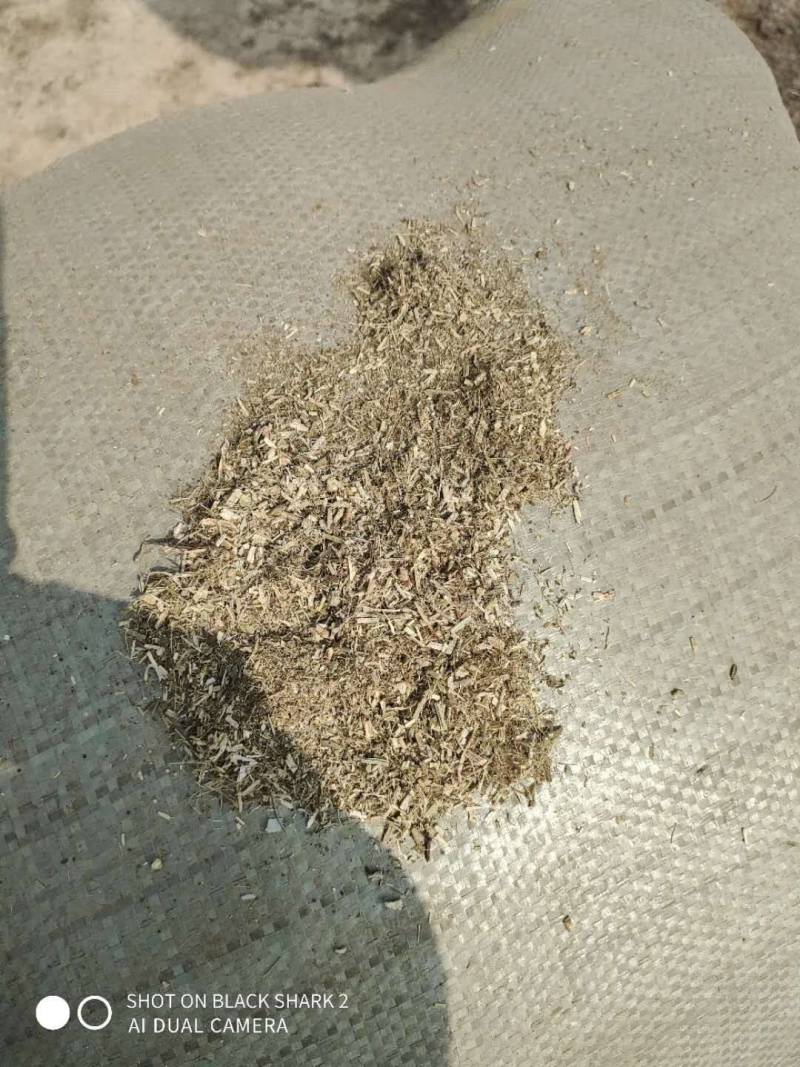草粉花生秧细糠品质优价格低
