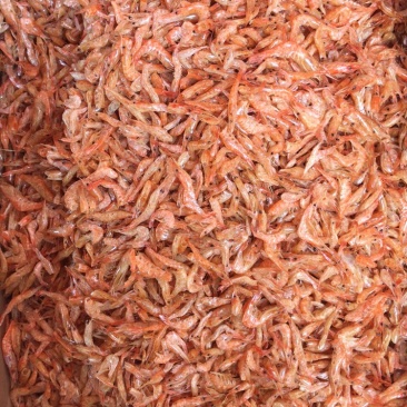 河虾干无盐虾干虾干河虾