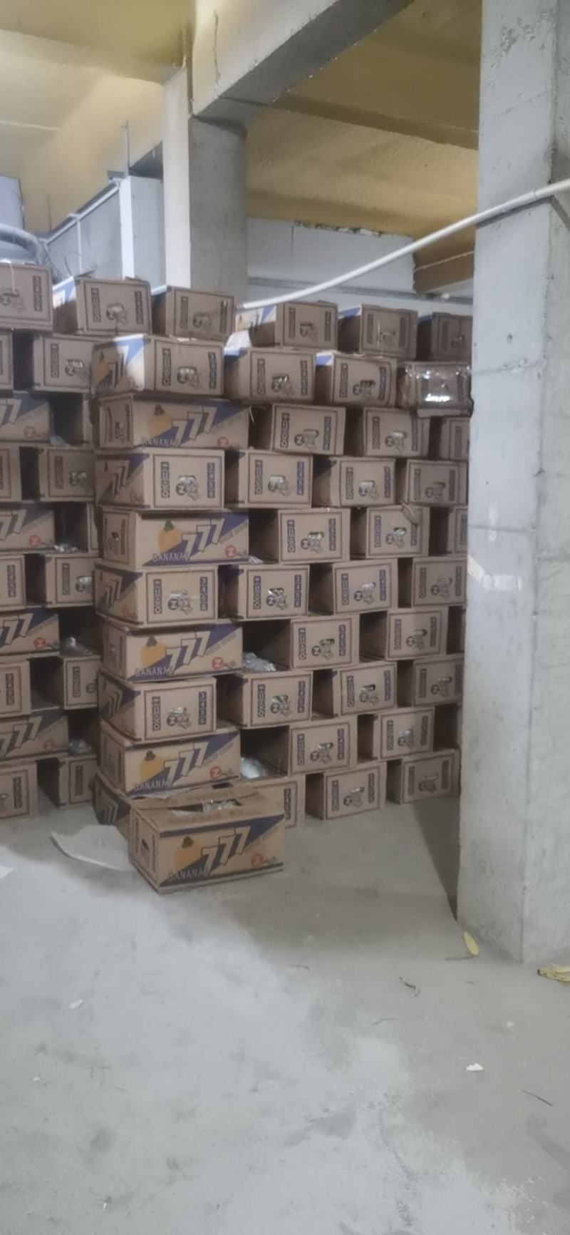 海南精品纯三把香蕉价格低
