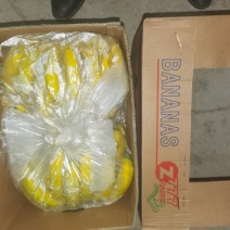 海南精品纯三把香蕉价格低