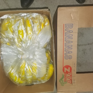 海南精品纯三把香蕉价格低