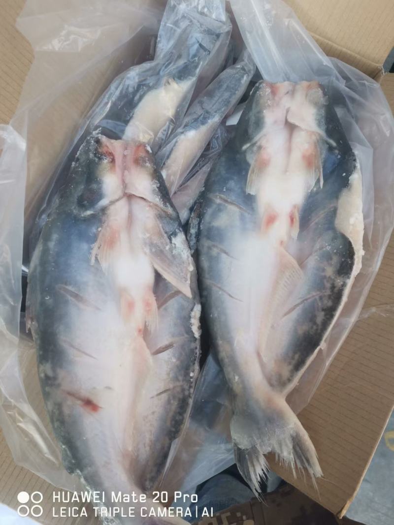 源晟泰品牌开背巴沙鱼，正关带票越南DL478工厂生产