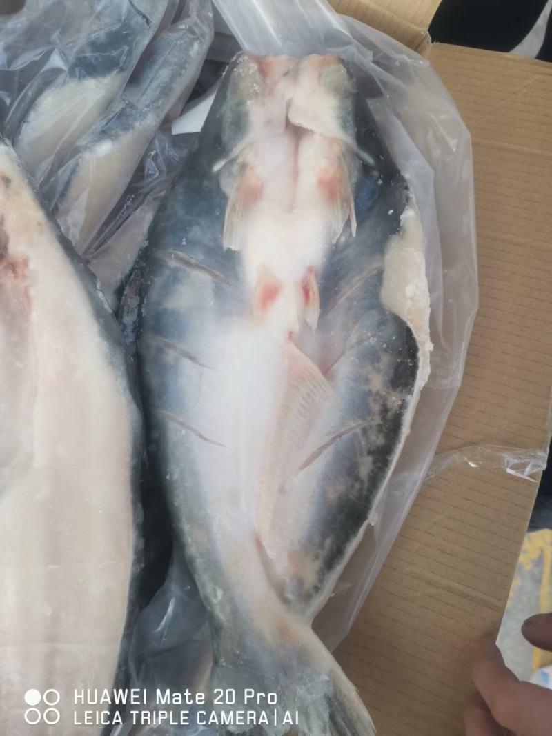 源晟泰品牌开背巴沙鱼，正关带票越南DL478工厂生产