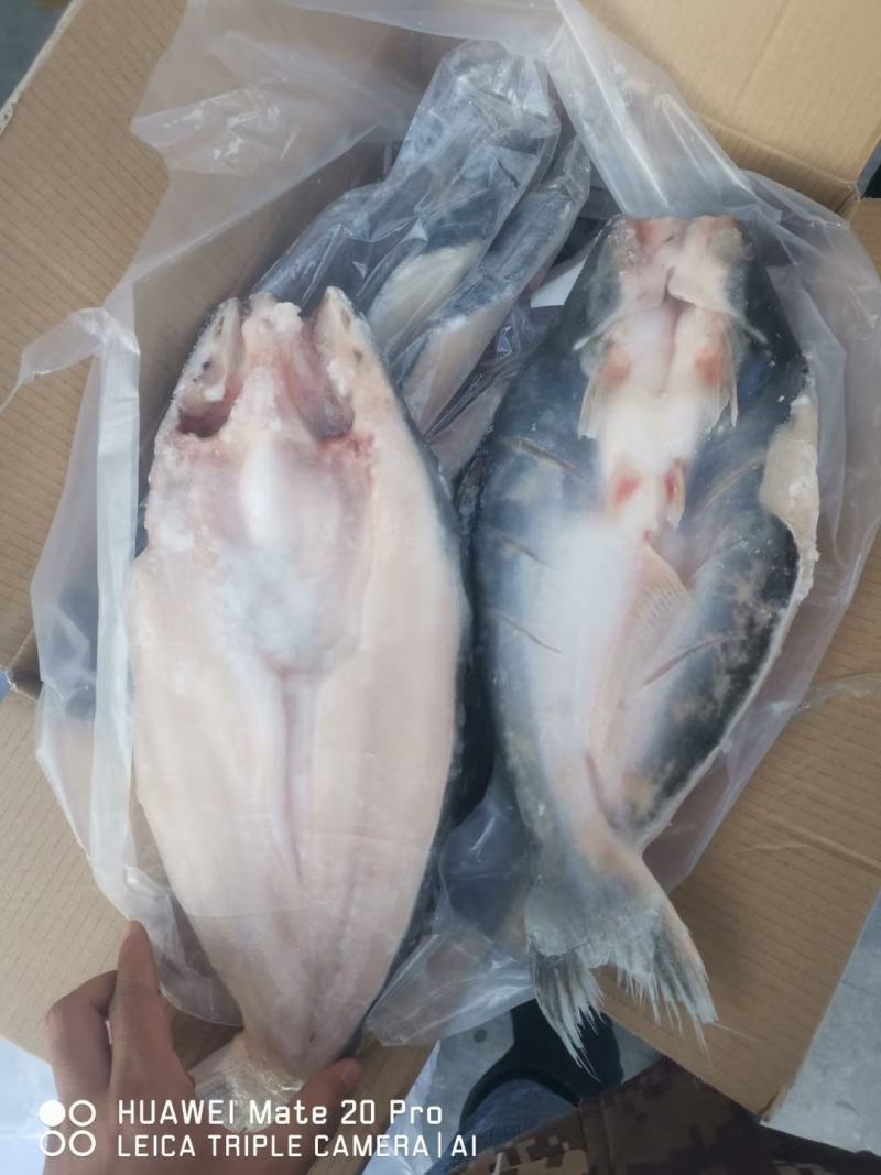 源晟泰品牌开背巴沙鱼，正关带票越南DL478工厂生产