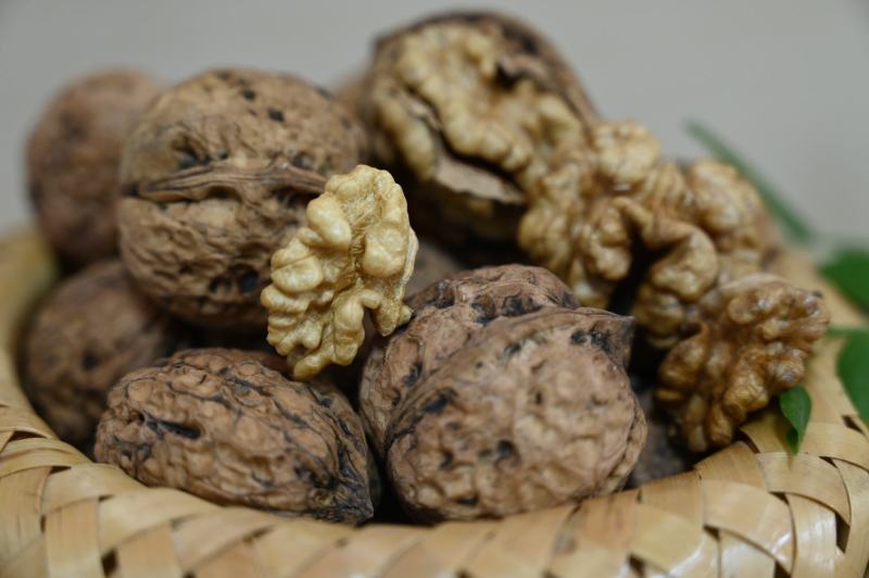 云南景东大泡核桃，薄皮核桃，农家老树核桃，老品种。