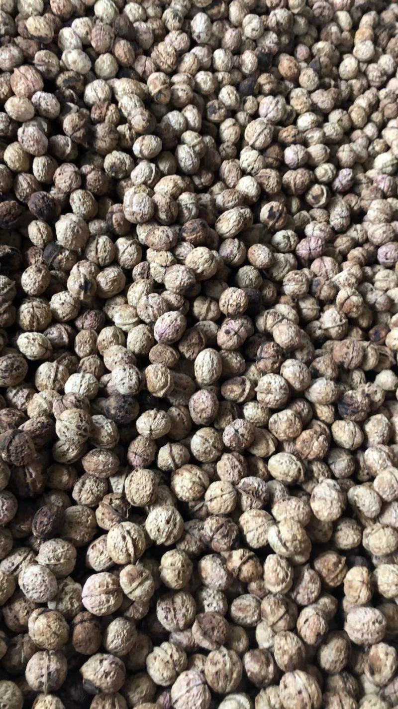 云南景东大泡核桃，薄皮核桃，农家老树核桃，老品种。