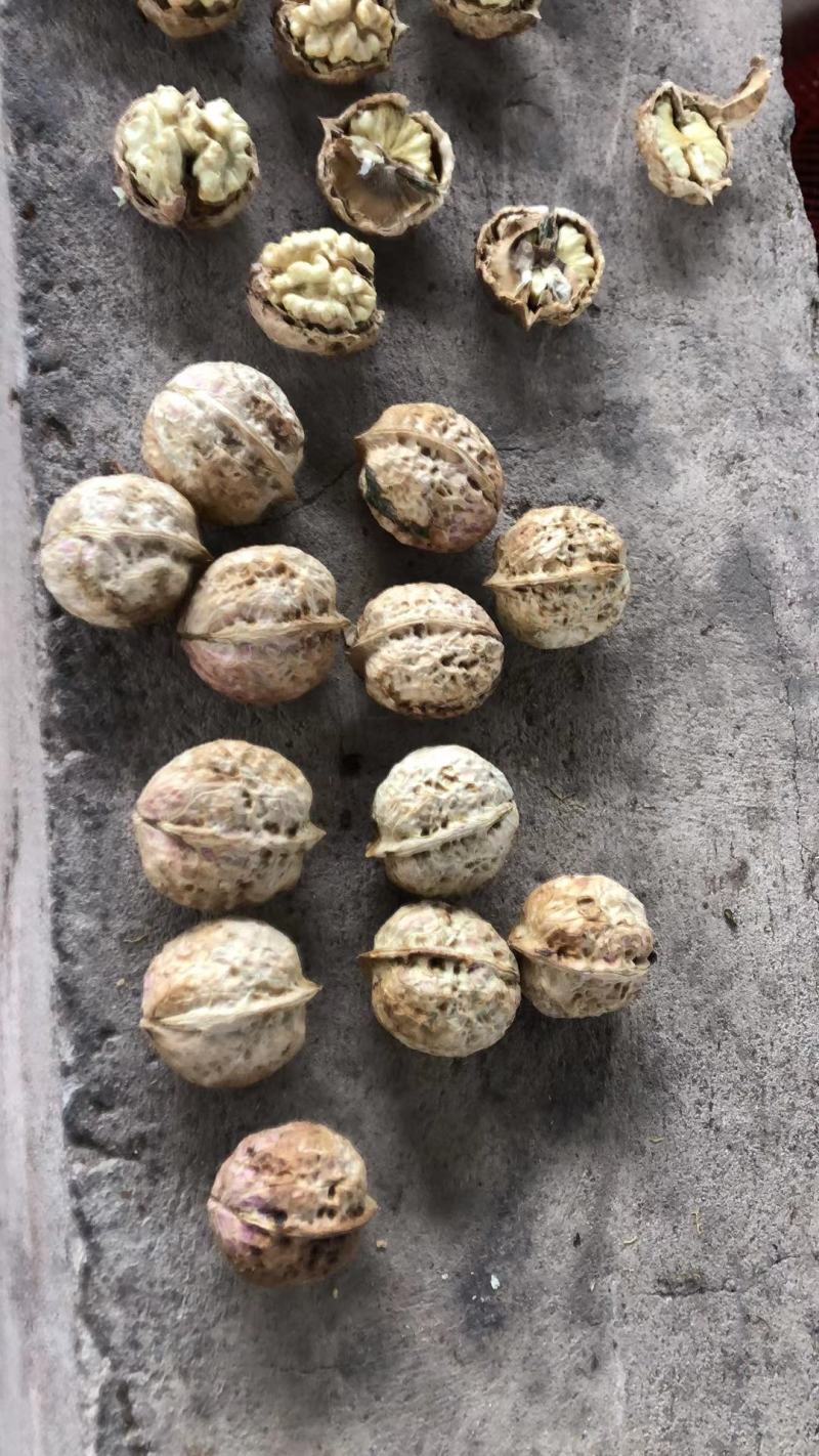 云南景东大泡核桃，薄皮核桃，农家老树核桃，老品种。