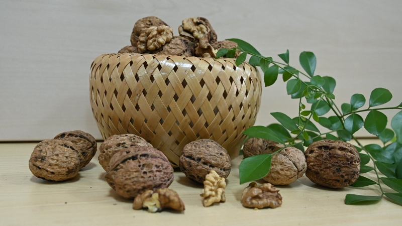 云南景东大泡核桃，薄皮核桃，农家老树核桃，老品种。