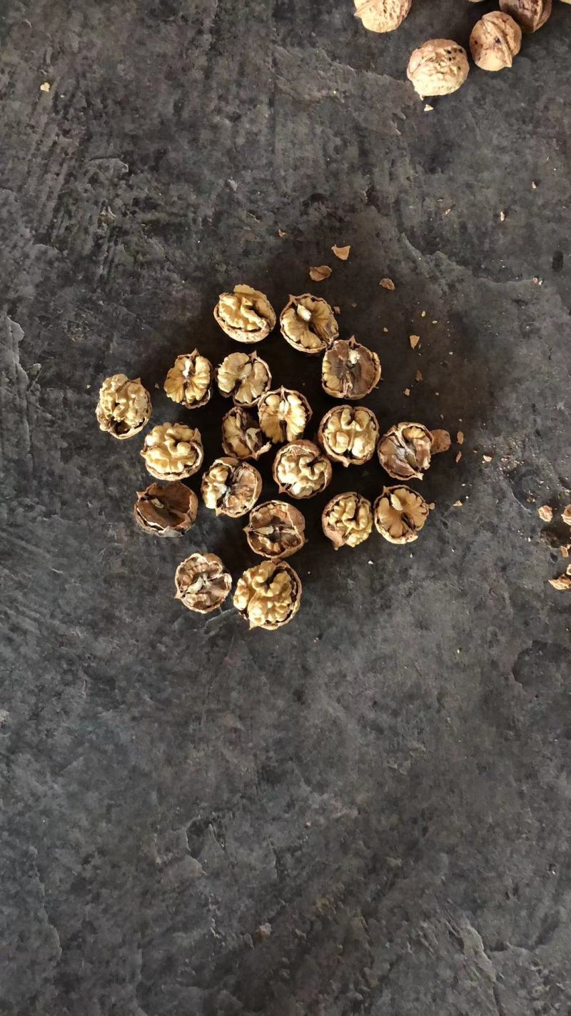 云南景东大泡核桃，薄皮核桃，农家老树核桃，老品种。