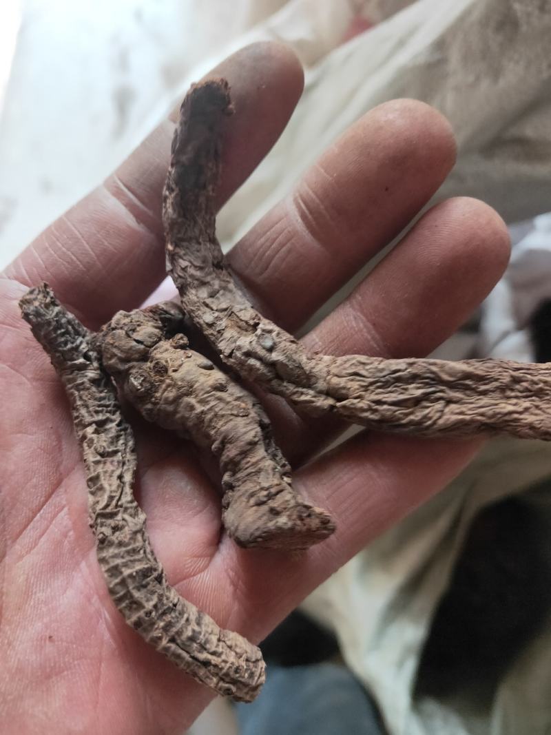 血三七净货纯干货不满意可以退换货冷背药材