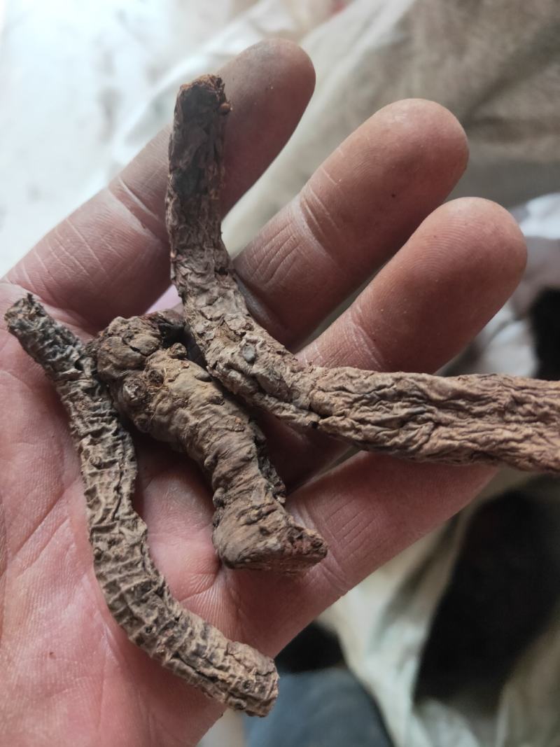 血三七净货纯干货不满意可以退换货冷背药材