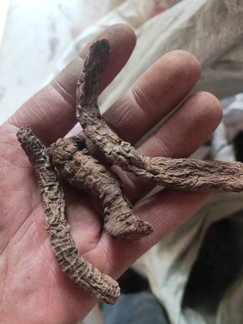 血三七净货纯干货不满意可以退换货冷背药材