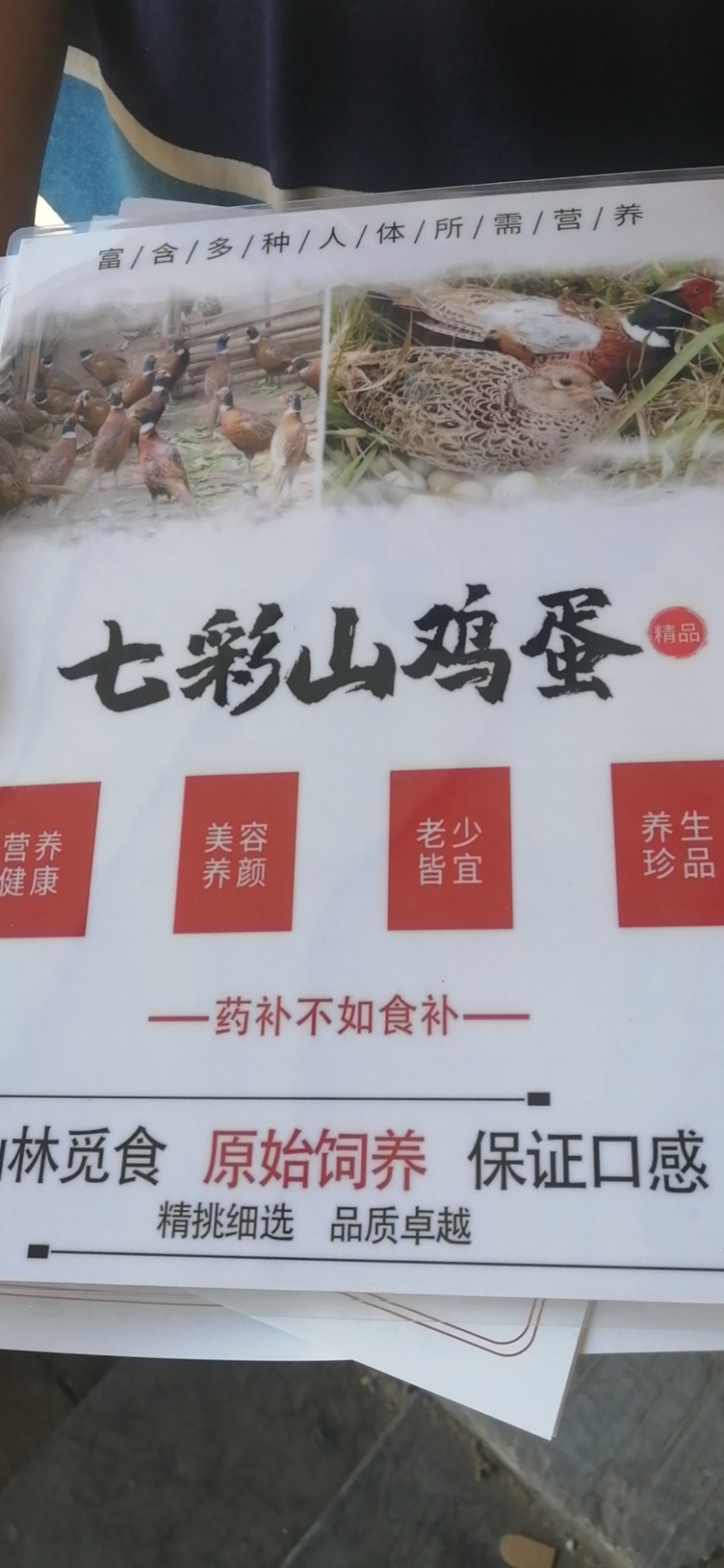 新鲜七彩山鸡蛋中的初生蛋，营养成分丰富蛋中稀有品种