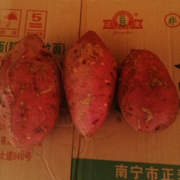 良种红薯，红皮定粉多，嗯