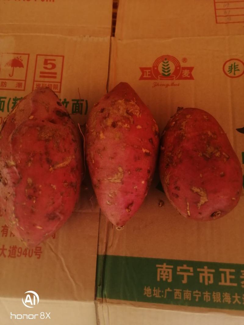 良种红薯，红皮定粉多，嗯