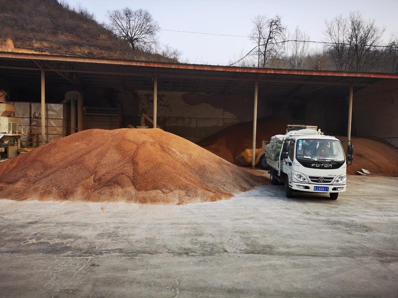 大量出售陕北精品高梁，水份15.容重740.净粮装车。