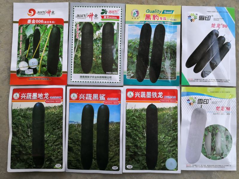 精品冬瓜种子墨地龙,墨铁龙，黑鲨,墨宝,,银狐等