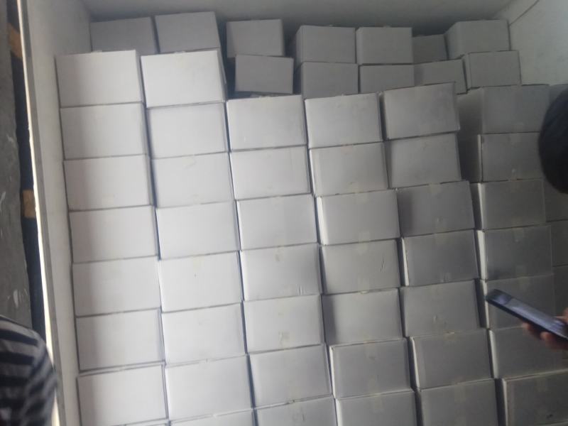 优质单冻章鱼切段，产地厂家直供诚信合作欢迎选购
