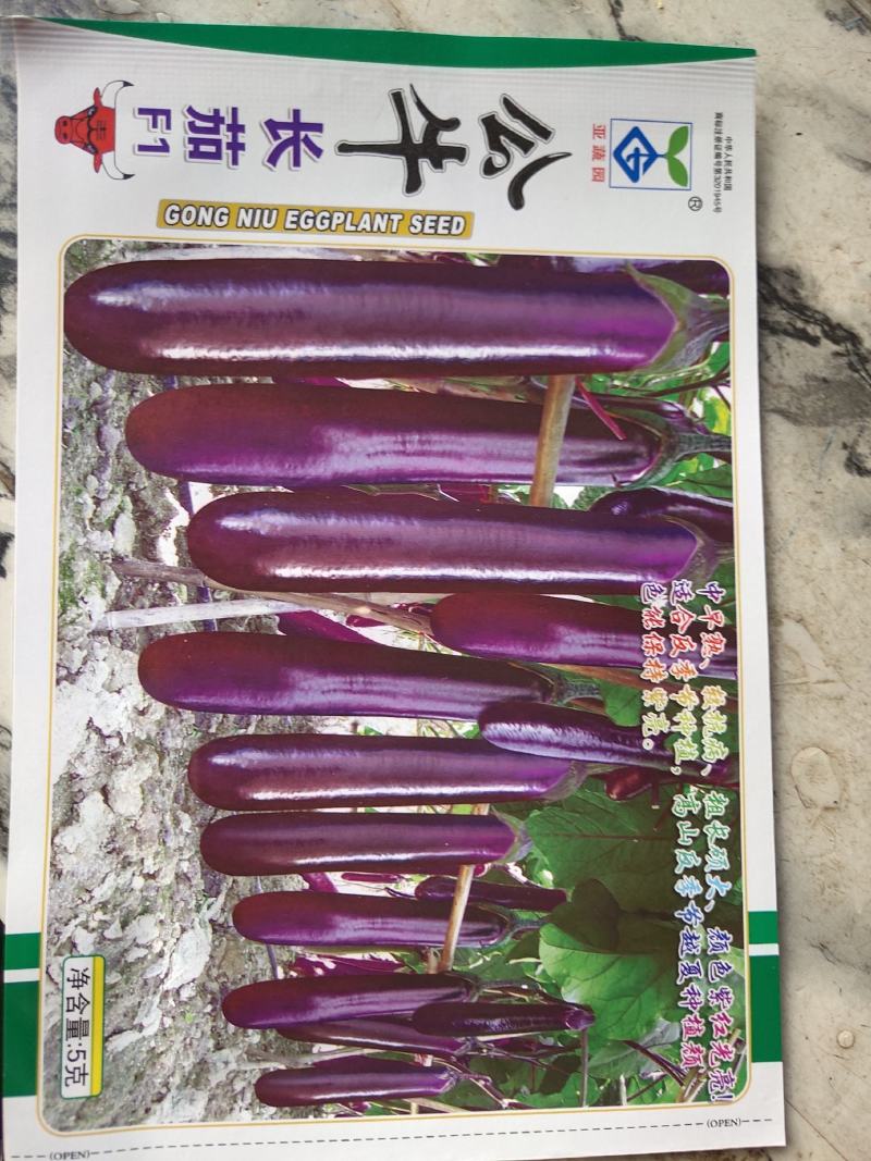 公牛茄子，中早熟，植株长势壮旺，分枝性好果长38厘米