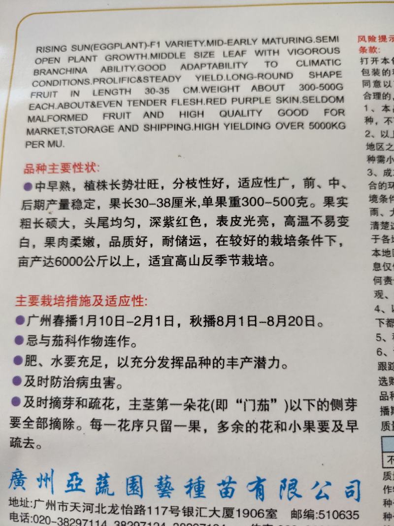 公牛茄子，中早熟，植株长势壮旺，分枝性好果长38厘米